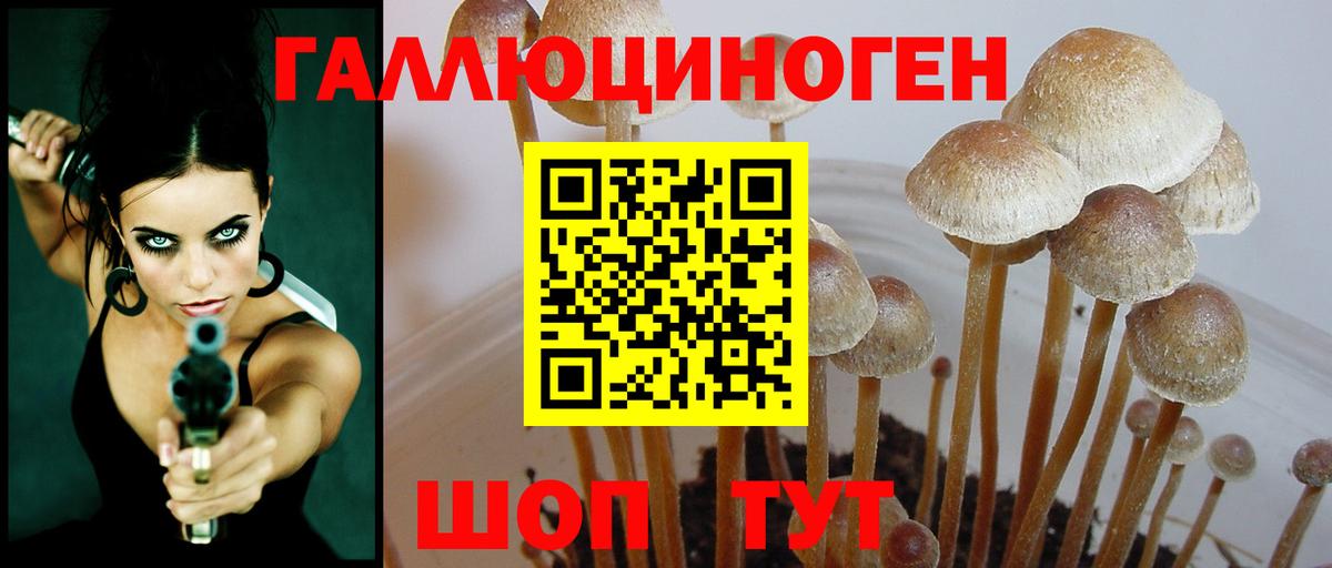 Псилоцибиновые грибы MAGIC MUSHROOMS  Вход с VPN  Кузнецк 