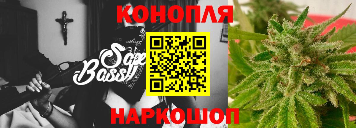 Канабис план Кузнецк
